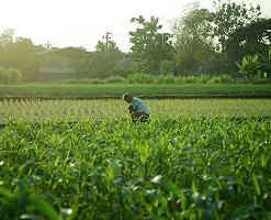 Muncitor agricol